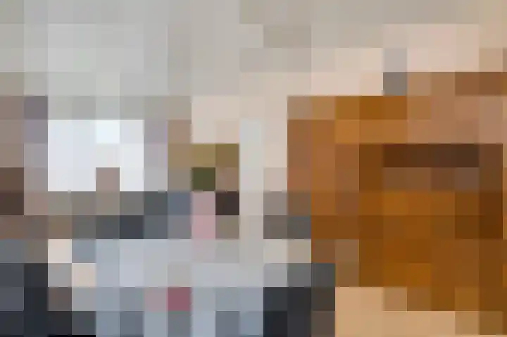 Herenslagstraat 30 Baexem thumbnail 10