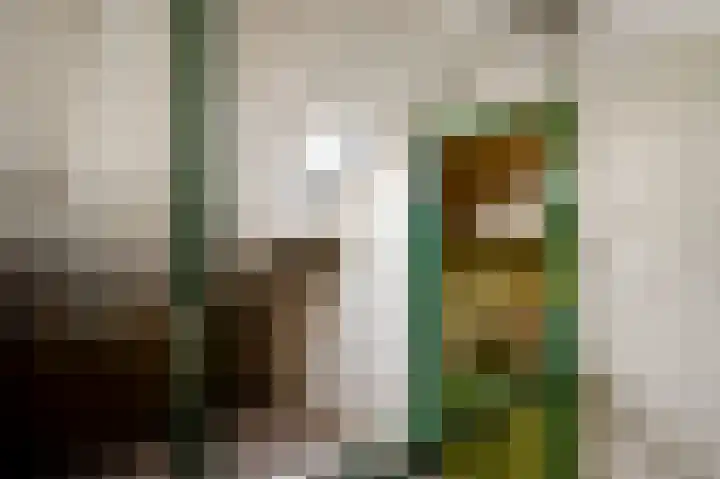 Herenslagstraat 30 Baexem thumbnail 28