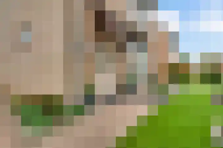Herenslagstraat 30 Baexem thumbnail 34