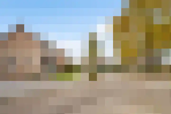 Herenslagstraat 30 Baexem thumbnail 37