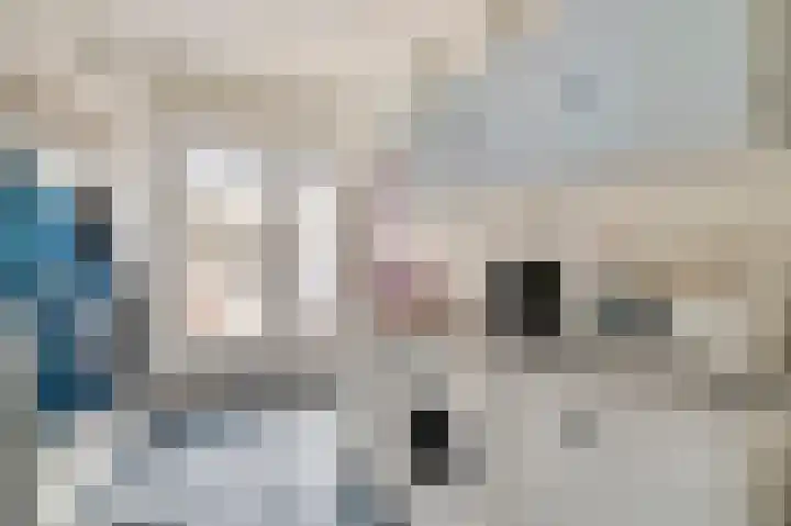 Herenslagstraat 30 Baexem thumbnail 4