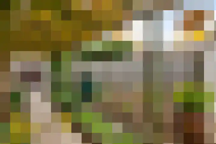 Herenslagstraat 30 Baexem thumbnail 6