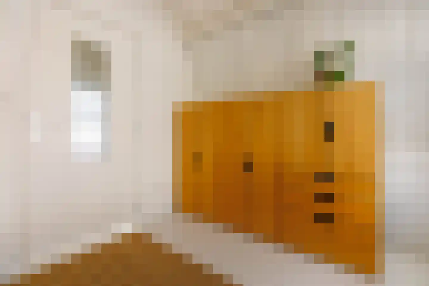 Herensteeg 5 Leiden thumbnail 29