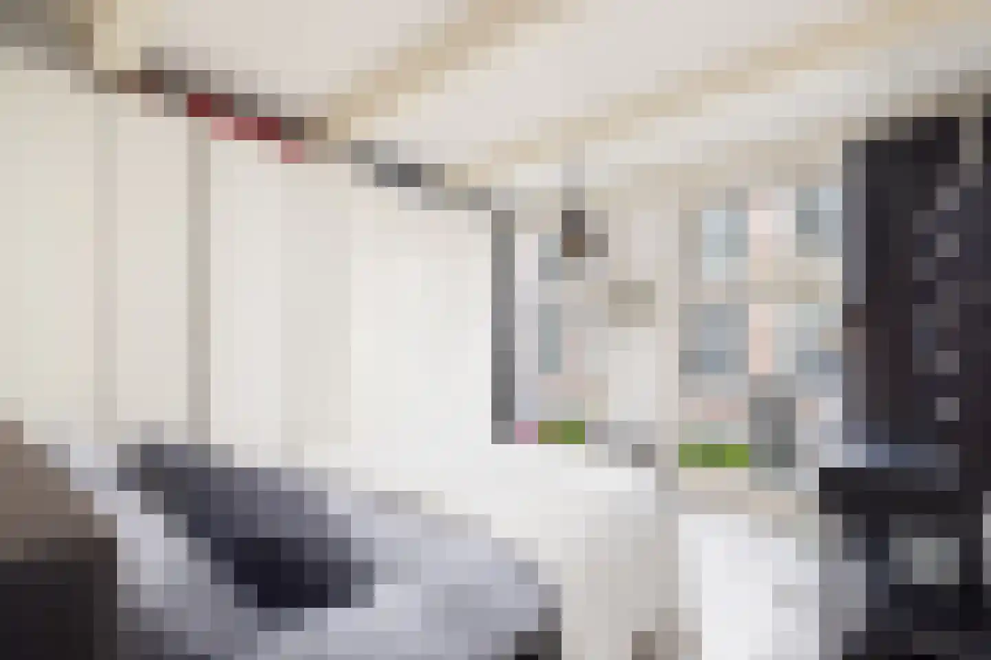 Herenstraat 1 Amsterdam thumbnail 9