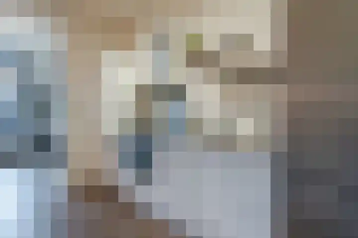 Herenstraat 10 Culemborg thumbnail 12