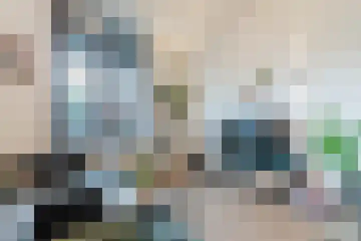 Herenstraat 10 Culemborg thumbnail 8
