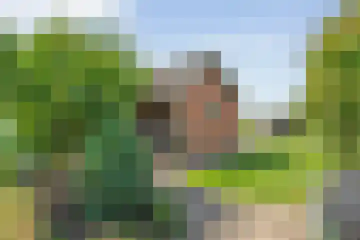 Herenstraat 102 Slagharen thumbnail 47