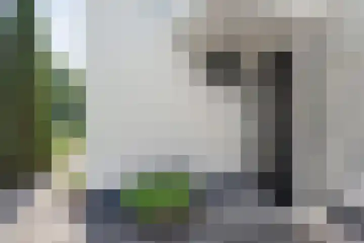 Herenstraat 102 Slagharen thumbnail 5