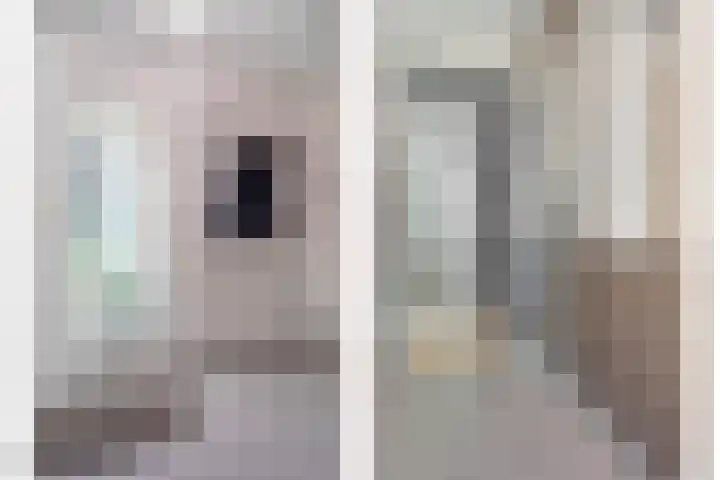 Herenstraat 102 Slagharen thumbnail 8