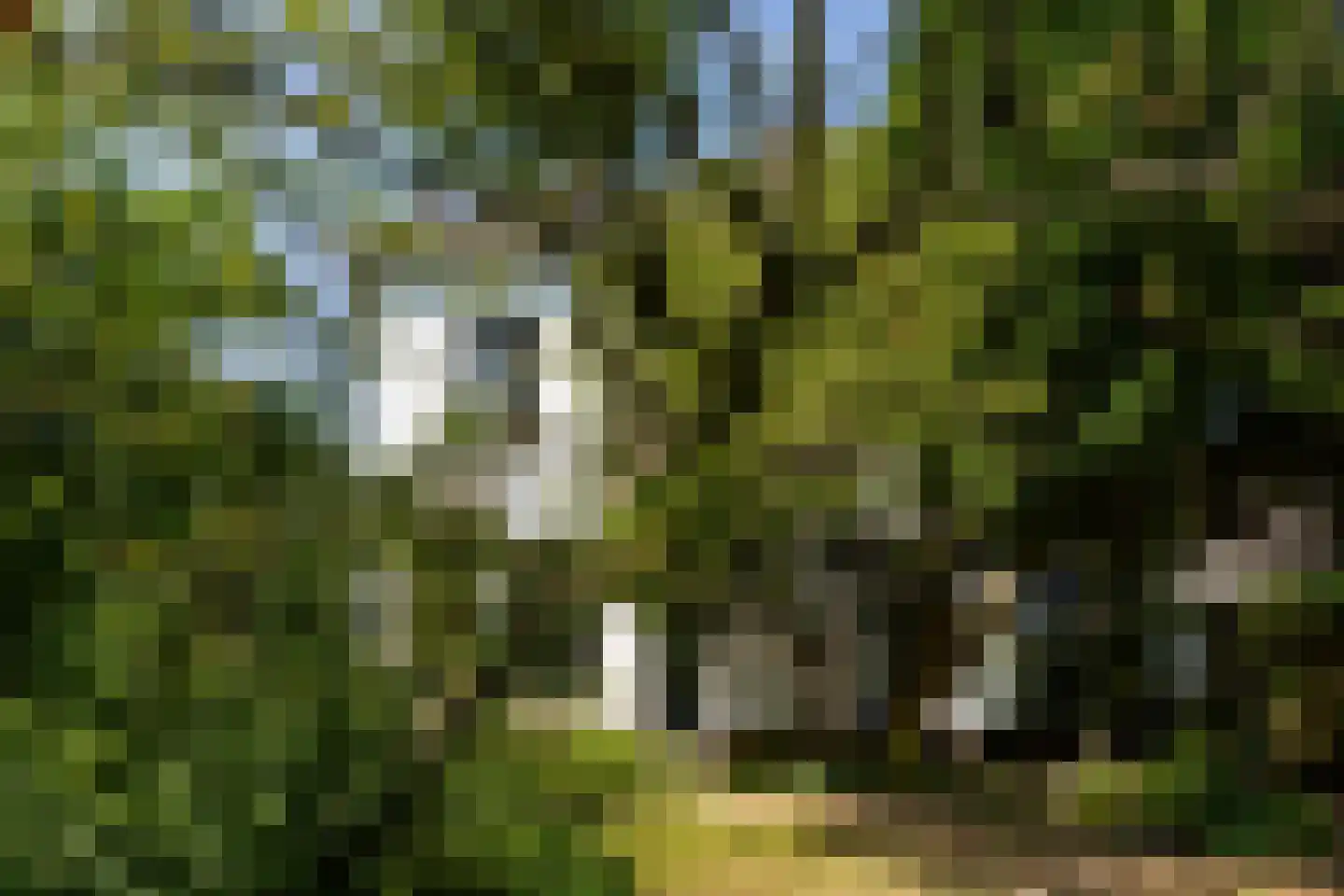 Herenstraat 105 Bussum thumbnail 36