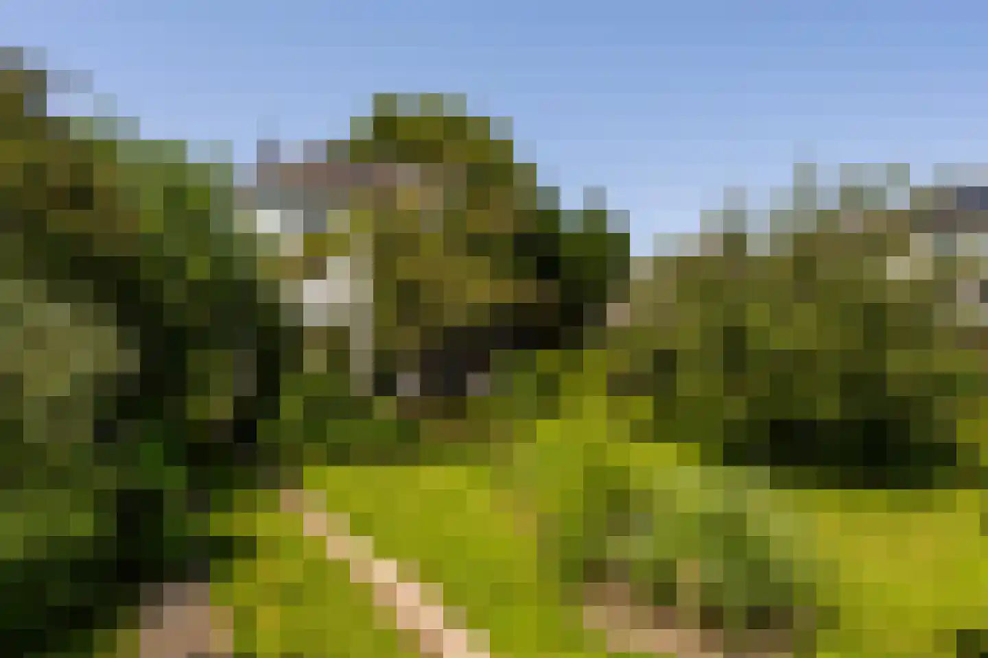 Herenstraat 105 Bussum thumbnail 37