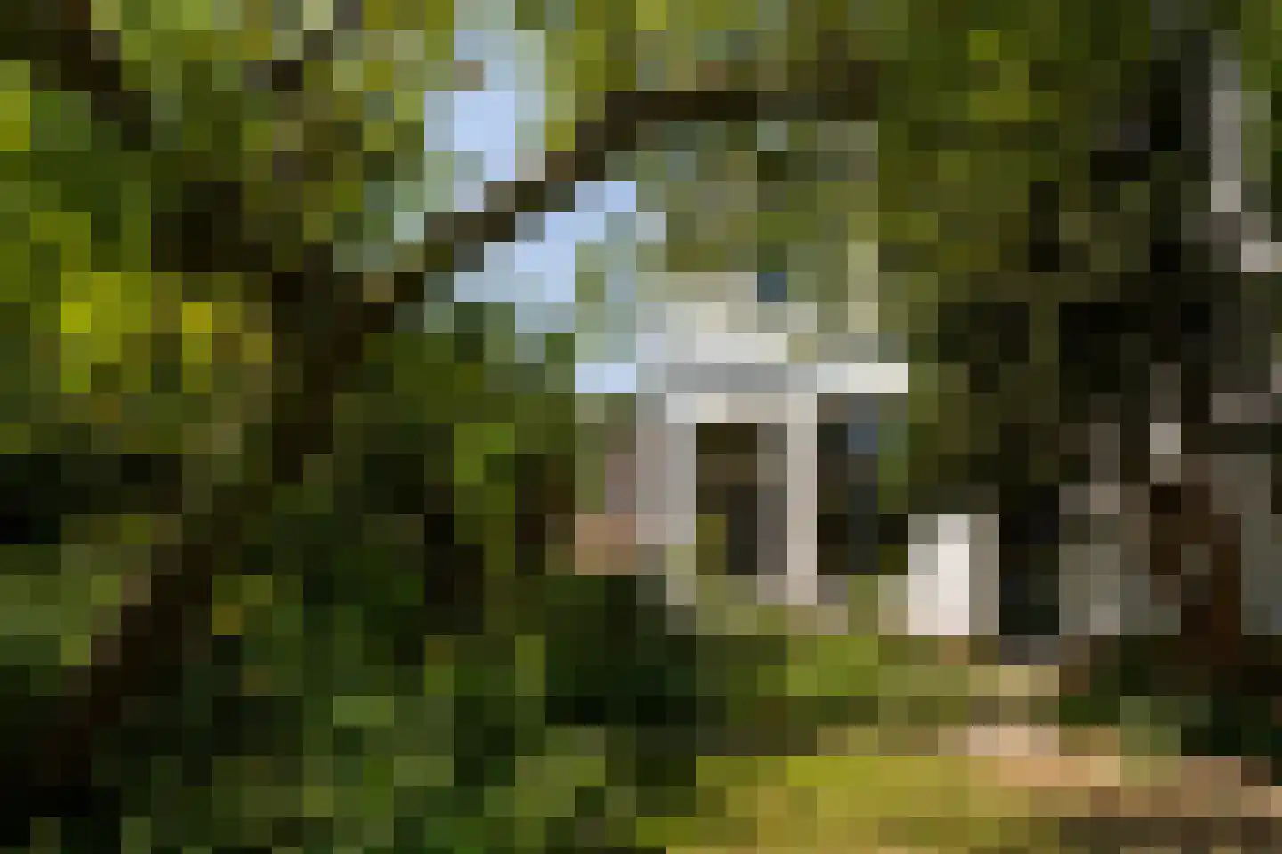Herenstraat 105 Bussum thumbnail 39