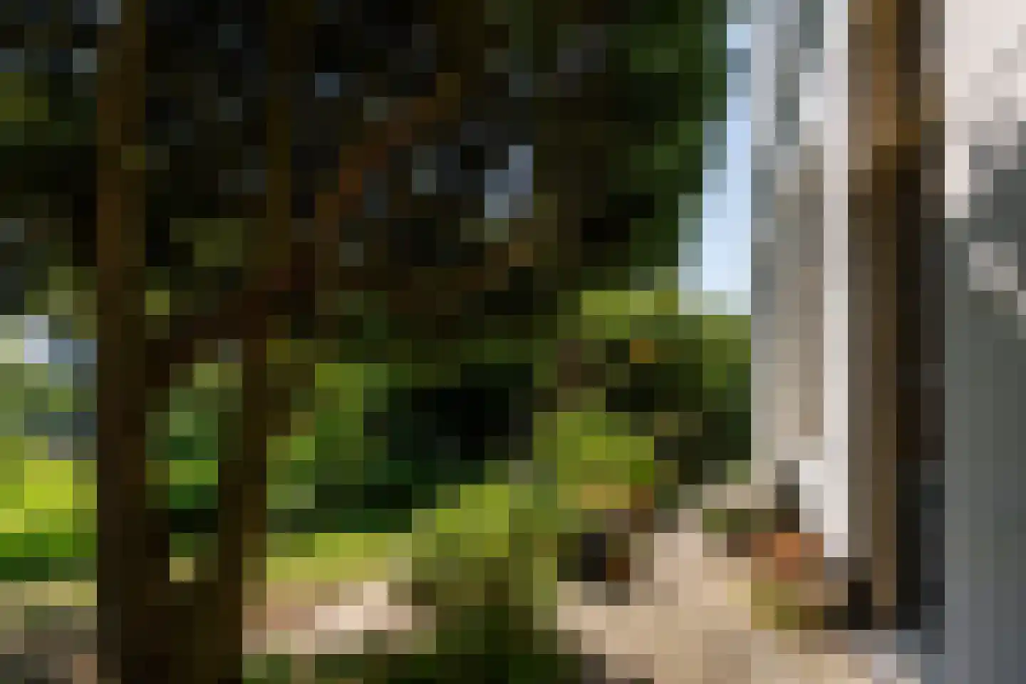 Herenstraat 105 Bussum thumbnail 41