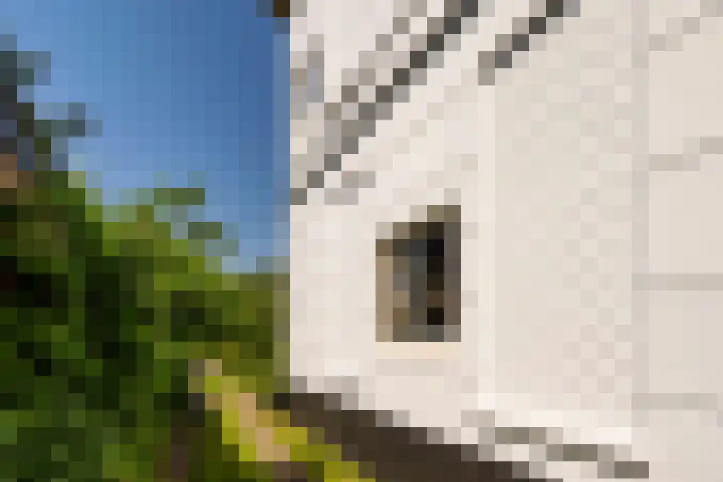 Herenstraat 105 Bussum thumbnail 5