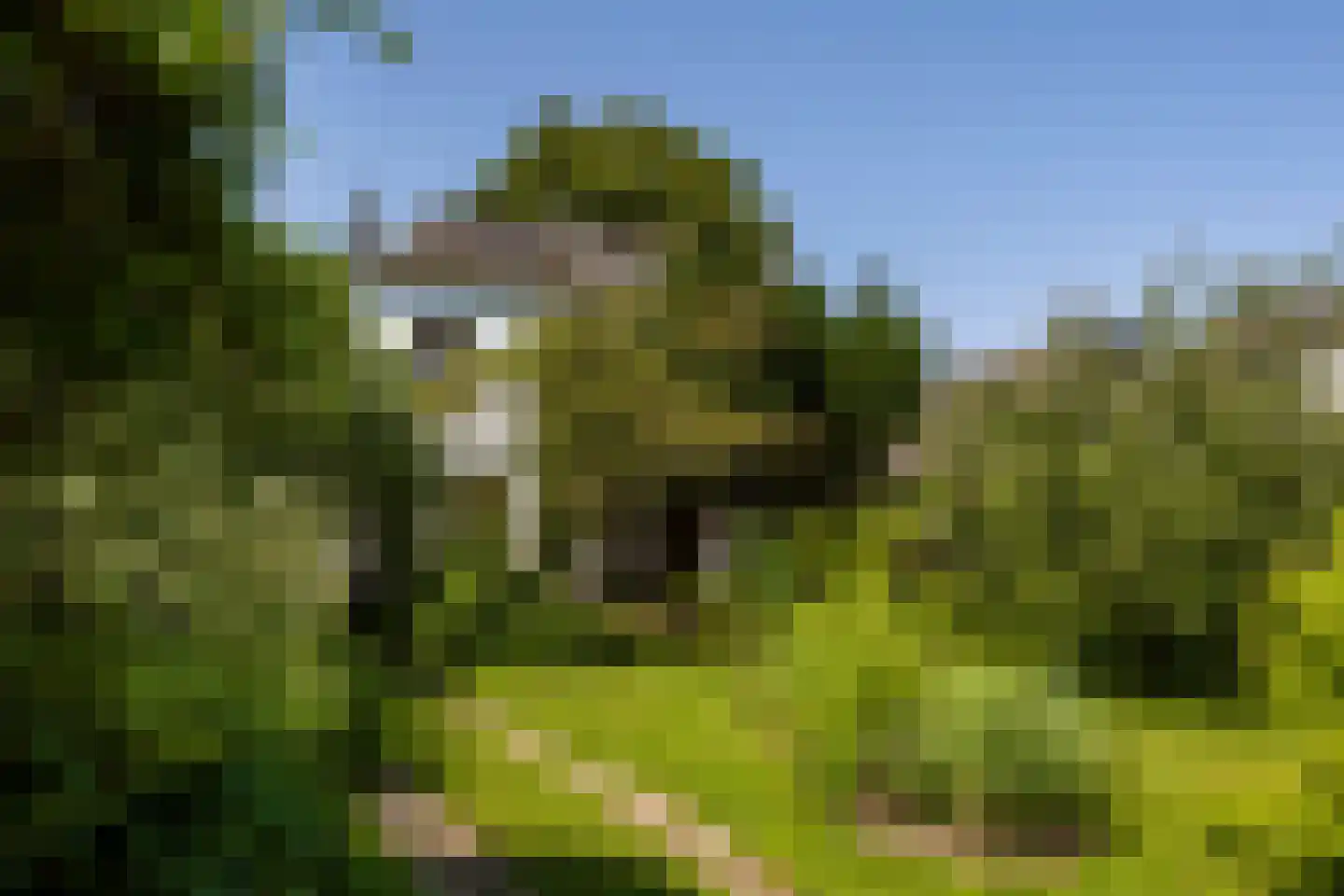 Herenstraat 105 Bussum thumbnail 74