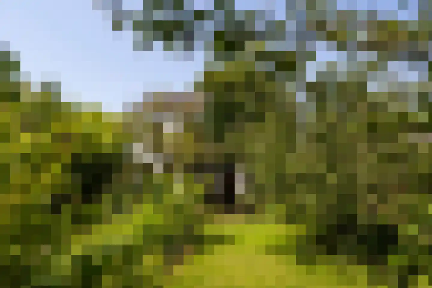 Herenstraat 105 Bussum thumbnail 75