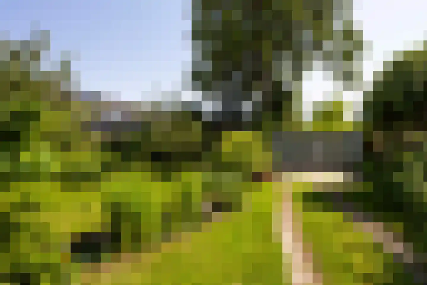 Herenstraat 105 Bussum thumbnail 76