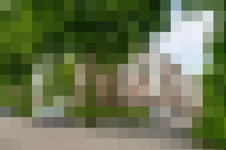 Herenstraat 111 Weert thumbnail 6