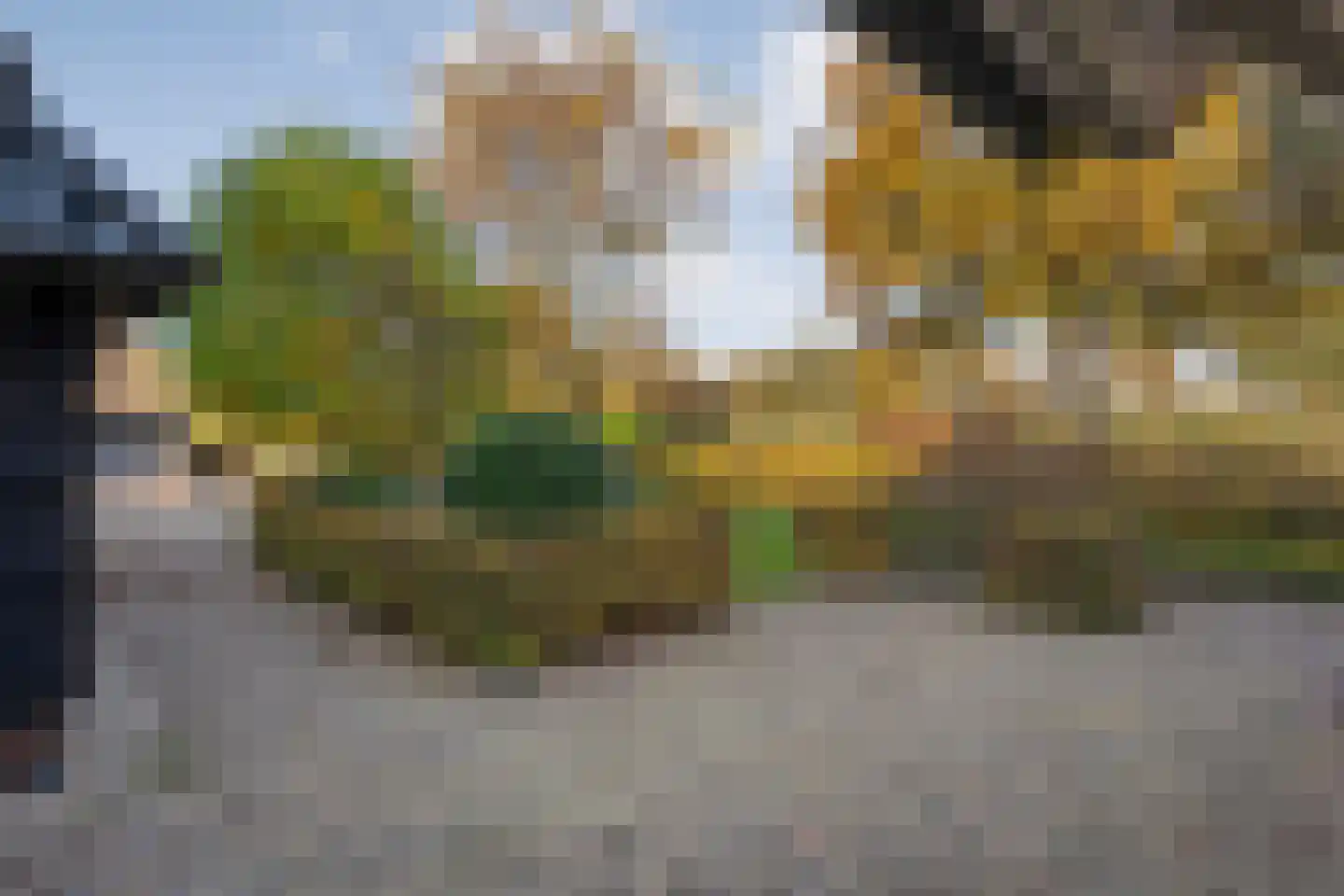 Herenstraat 114 Slagharen thumbnail 10