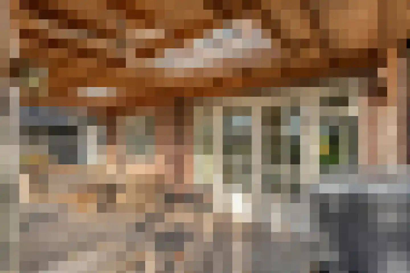 Herenstraat 114 Slagharen thumbnail 114
