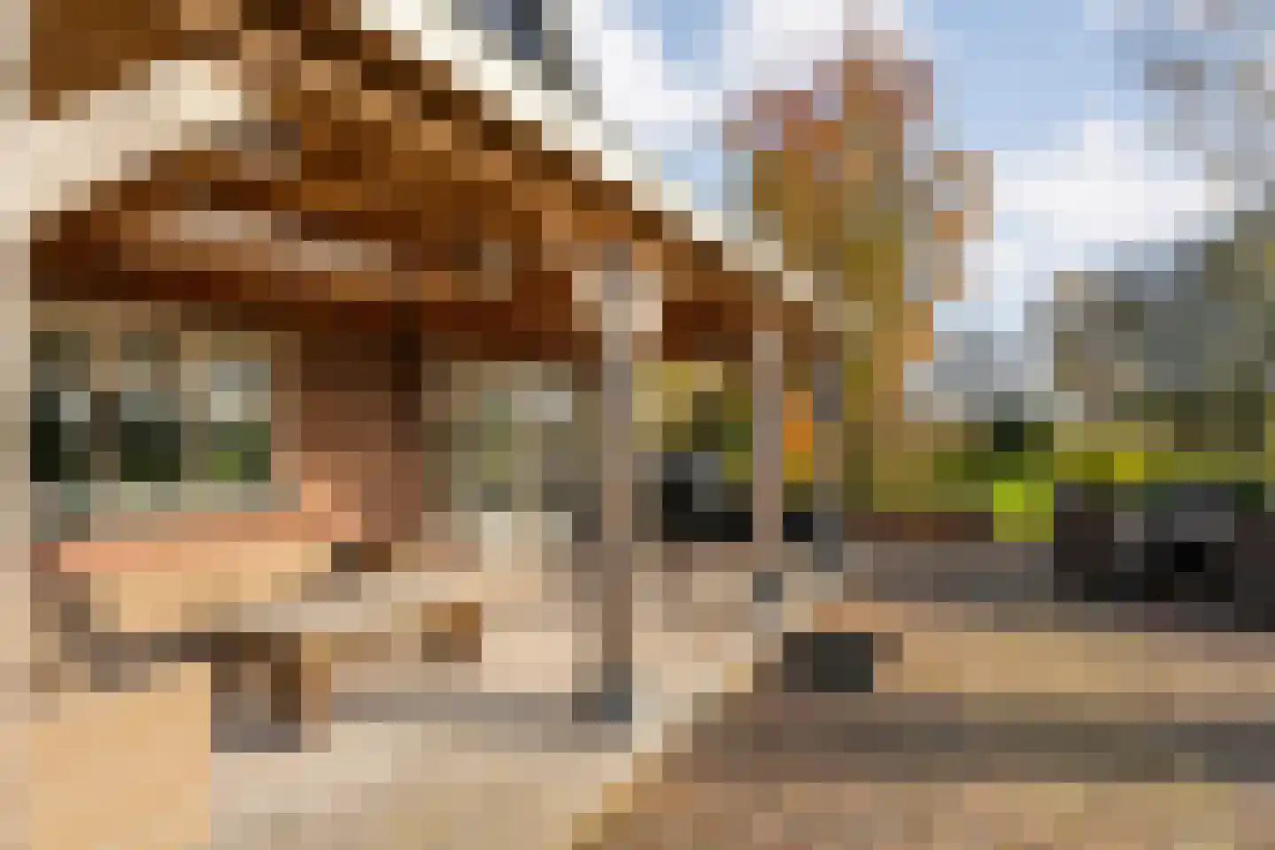 Herenstraat 114 Slagharen thumbnail 115