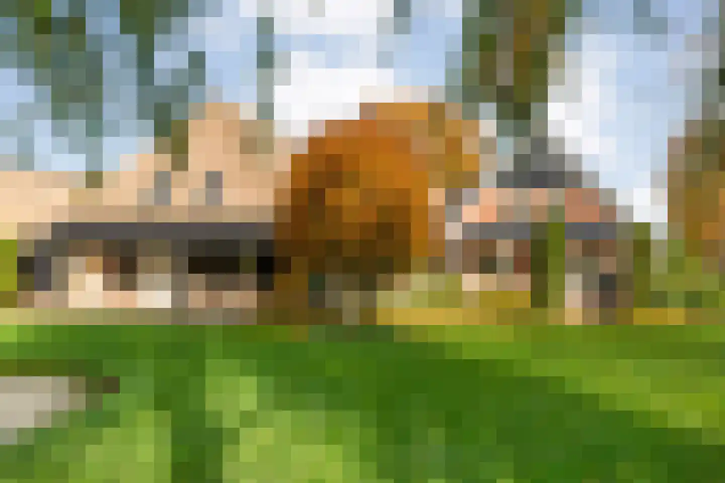Herenstraat 114 Slagharen thumbnail 123