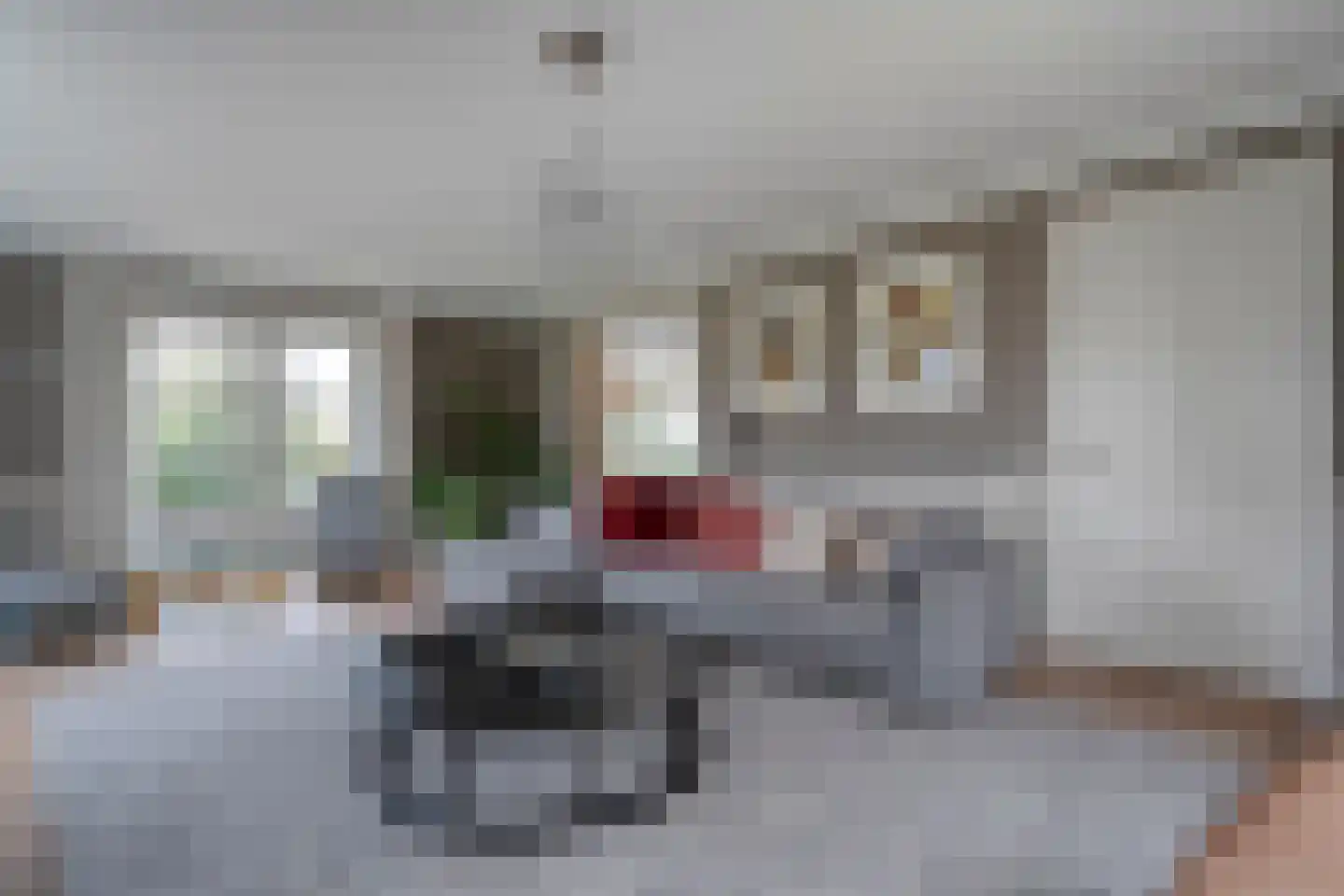 Herenstraat 114 Slagharen thumbnail 15