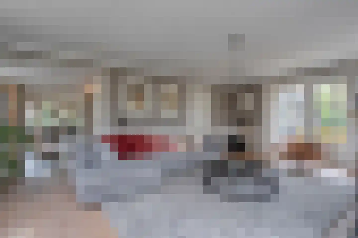 Herenstraat 114 Slagharen thumbnail 16