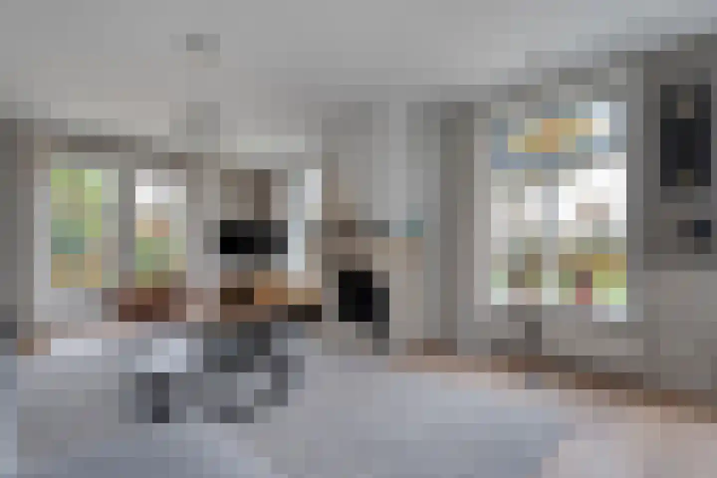 Herenstraat 114 Slagharen thumbnail 17