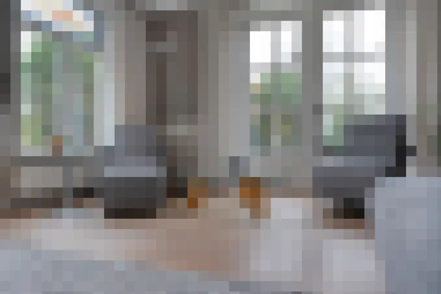 Herenstraat 114 Slagharen thumbnail 18