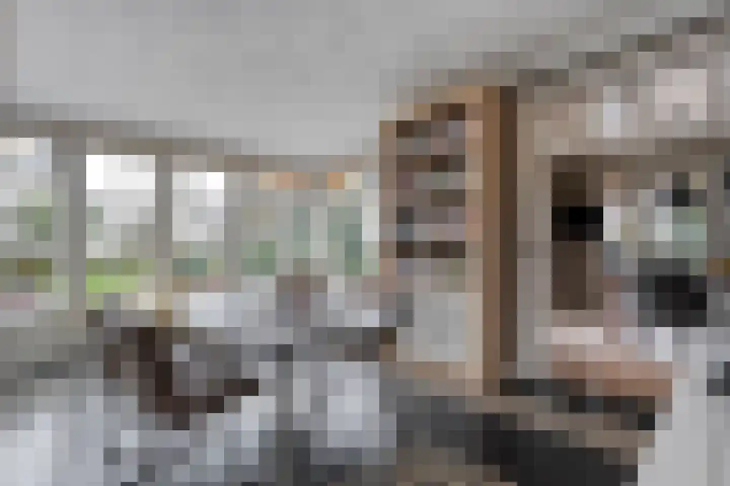 Herenstraat 114 Slagharen thumbnail 20