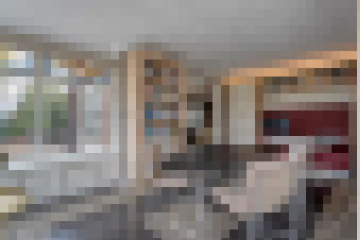 Herenstraat 114 Slagharen thumbnail 21