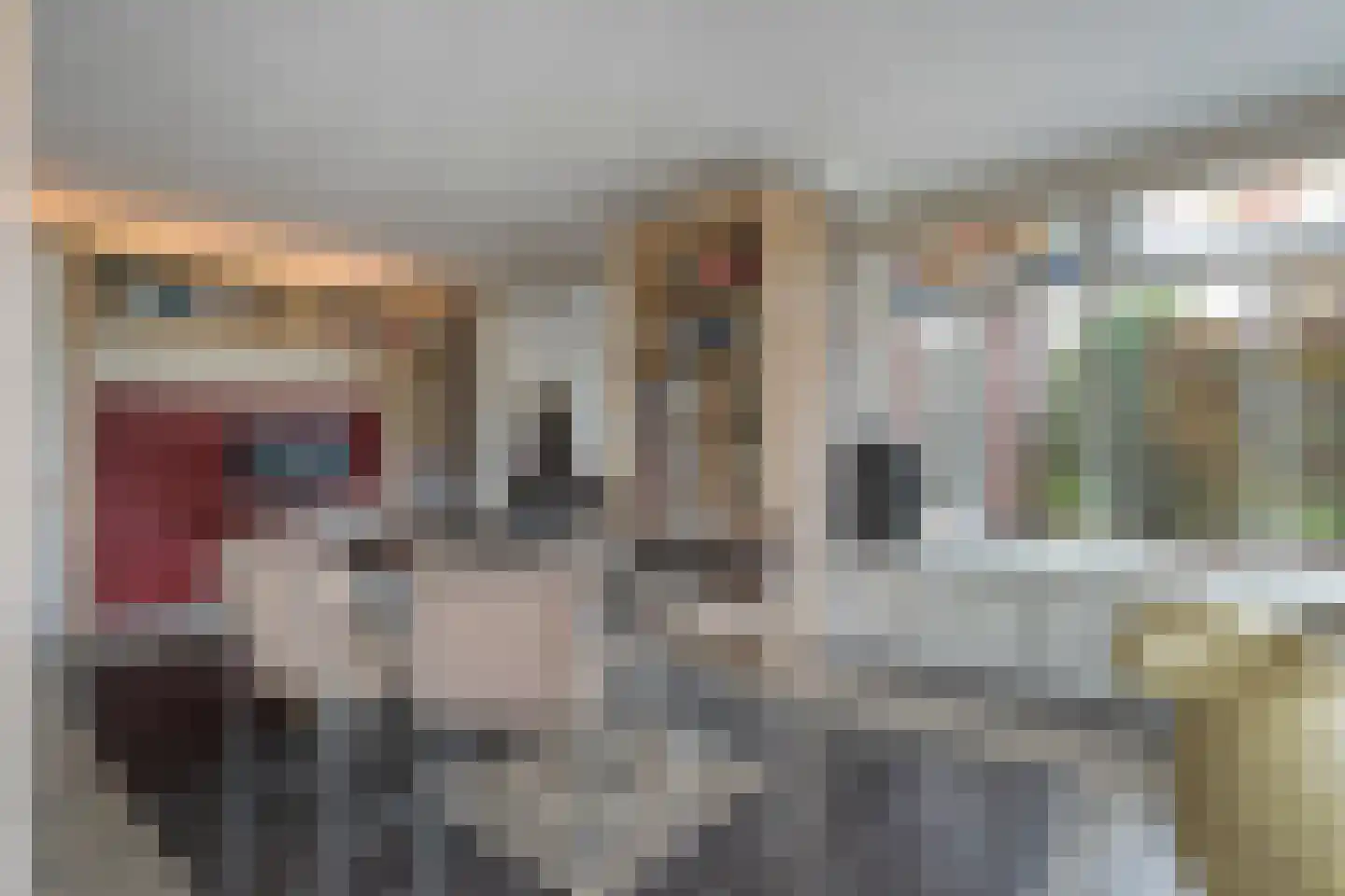 Herenstraat 114 Slagharen thumbnail 22