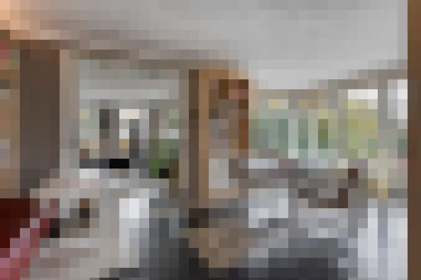 Herenstraat 114 Slagharen thumbnail 23