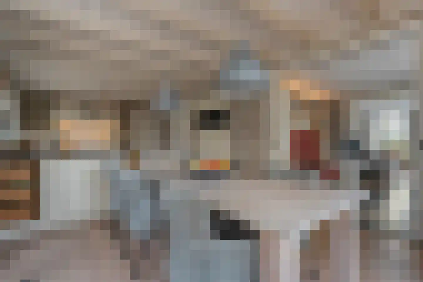 Herenstraat 114 Slagharen thumbnail 26