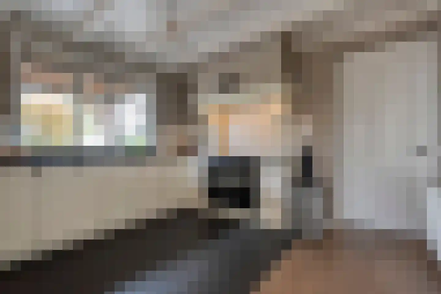Herenstraat 114 Slagharen thumbnail 28