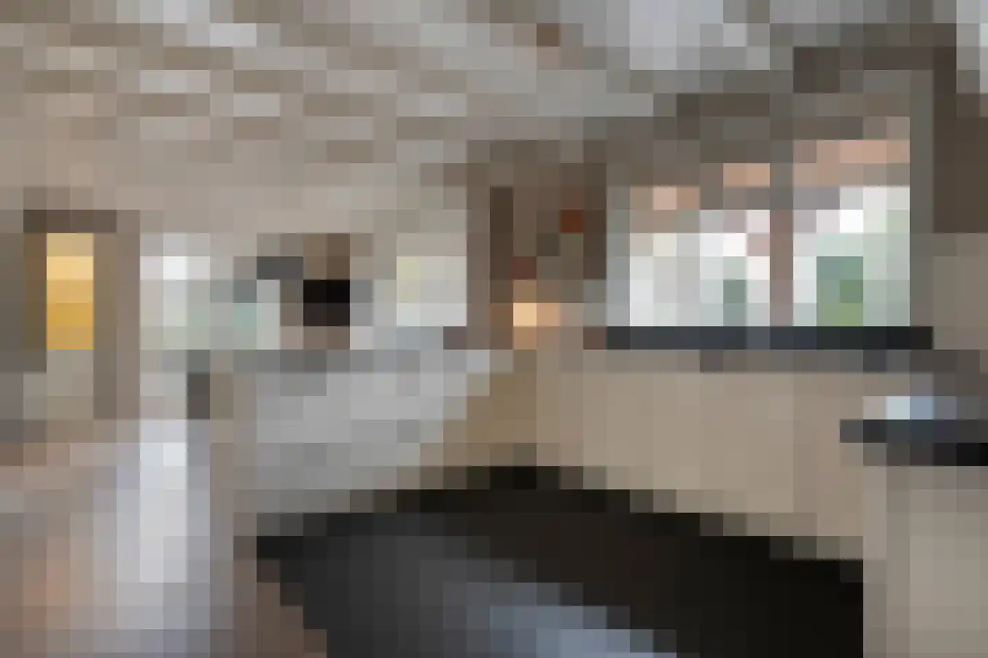 Herenstraat 114 Slagharen thumbnail 29