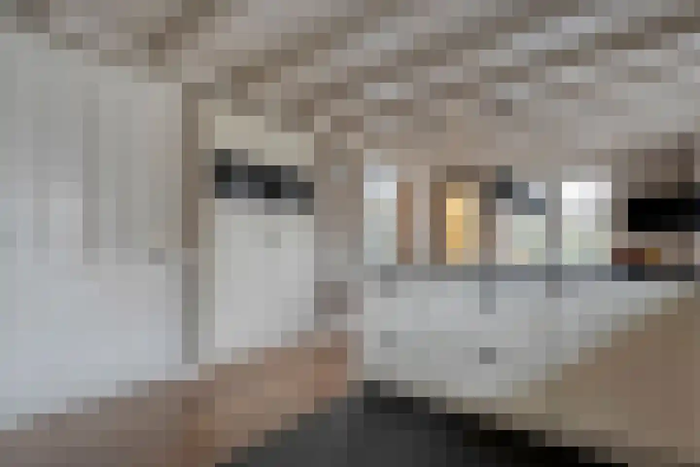 Herenstraat 114 Slagharen thumbnail 30