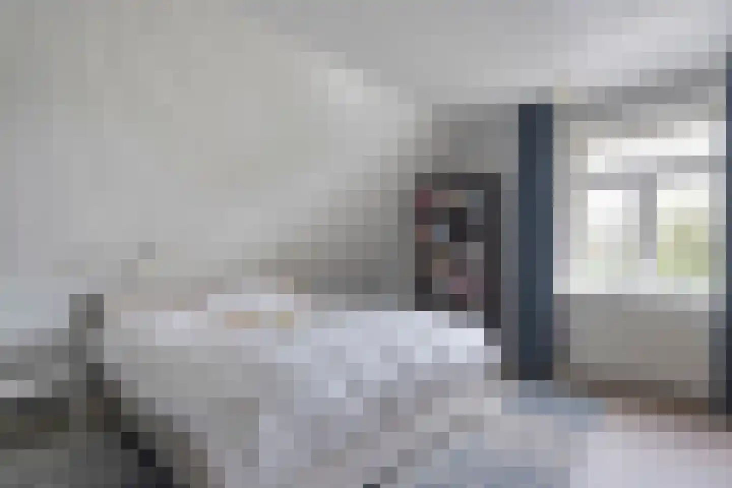 Herenstraat 114 Slagharen thumbnail 39