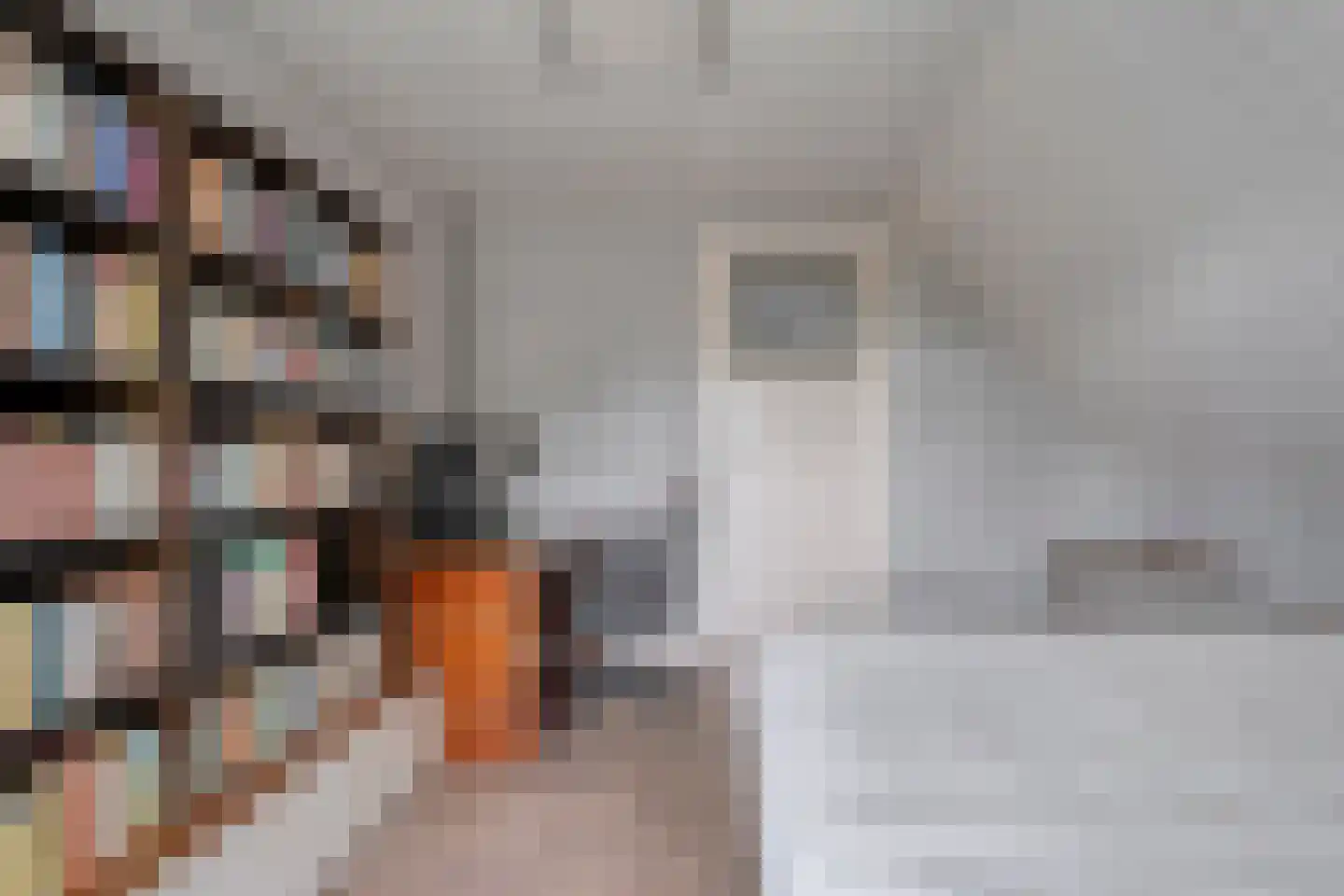 Herenstraat 114 Slagharen thumbnail 42