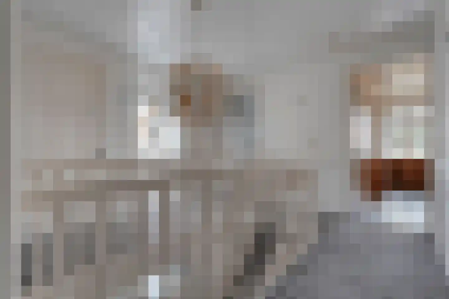 Herenstraat 114 Slagharen thumbnail 43