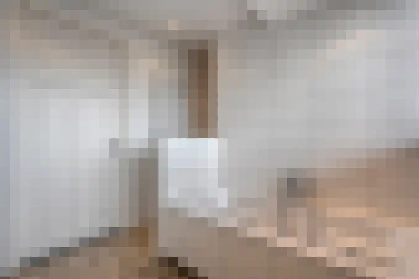 Herenstraat 114 Slagharen thumbnail 45