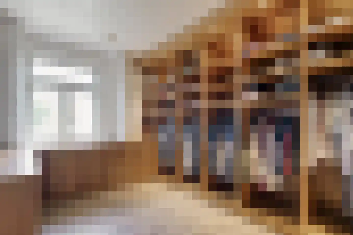 Herenstraat 114 Slagharen thumbnail 47