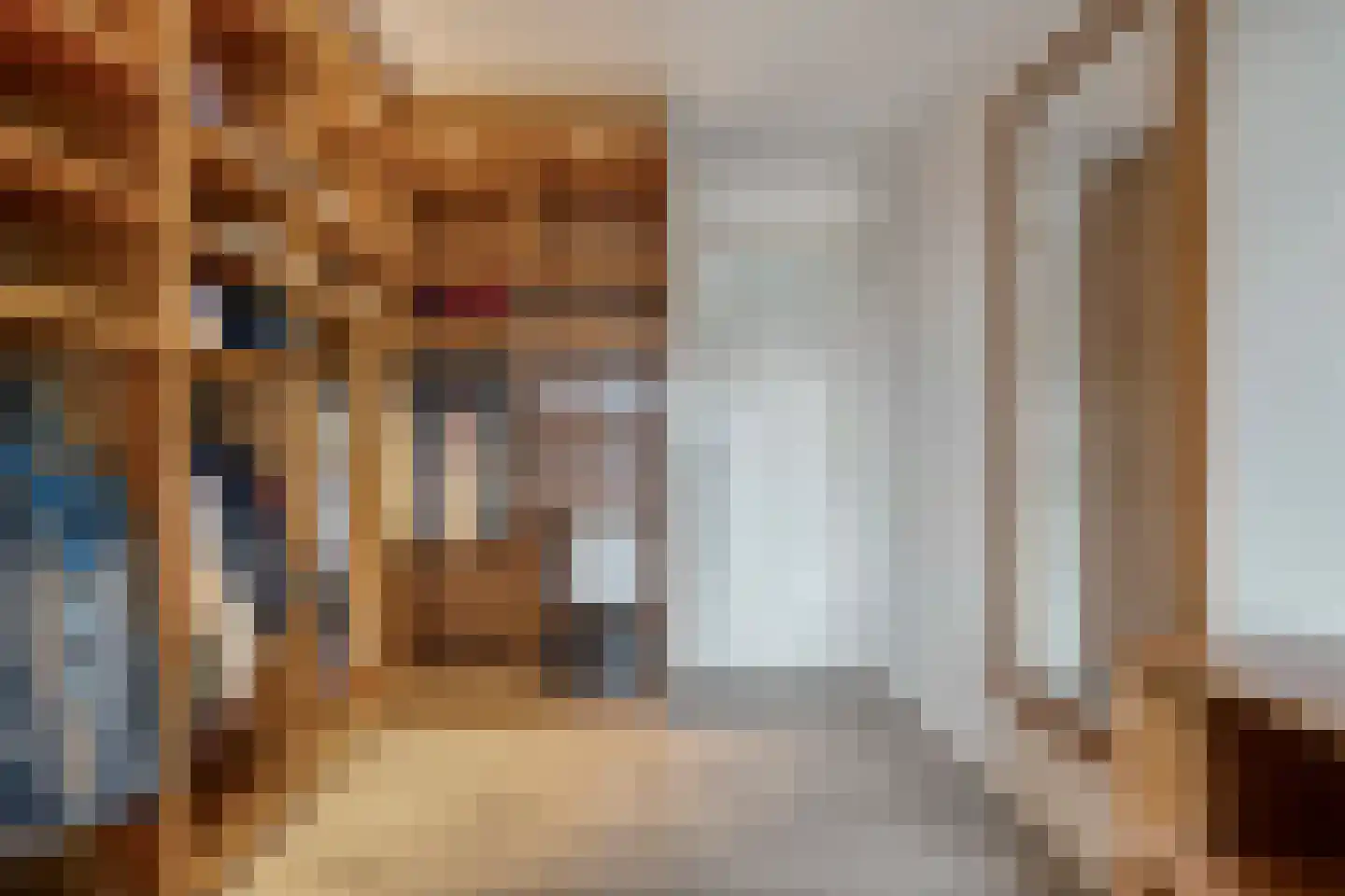 Herenstraat 114 Slagharen thumbnail 48