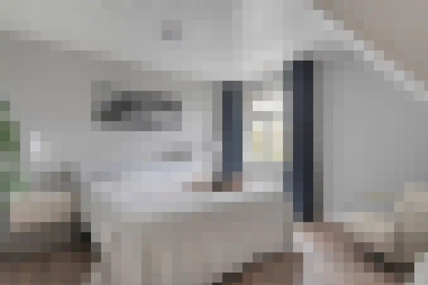 Herenstraat 114 Slagharen thumbnail 51