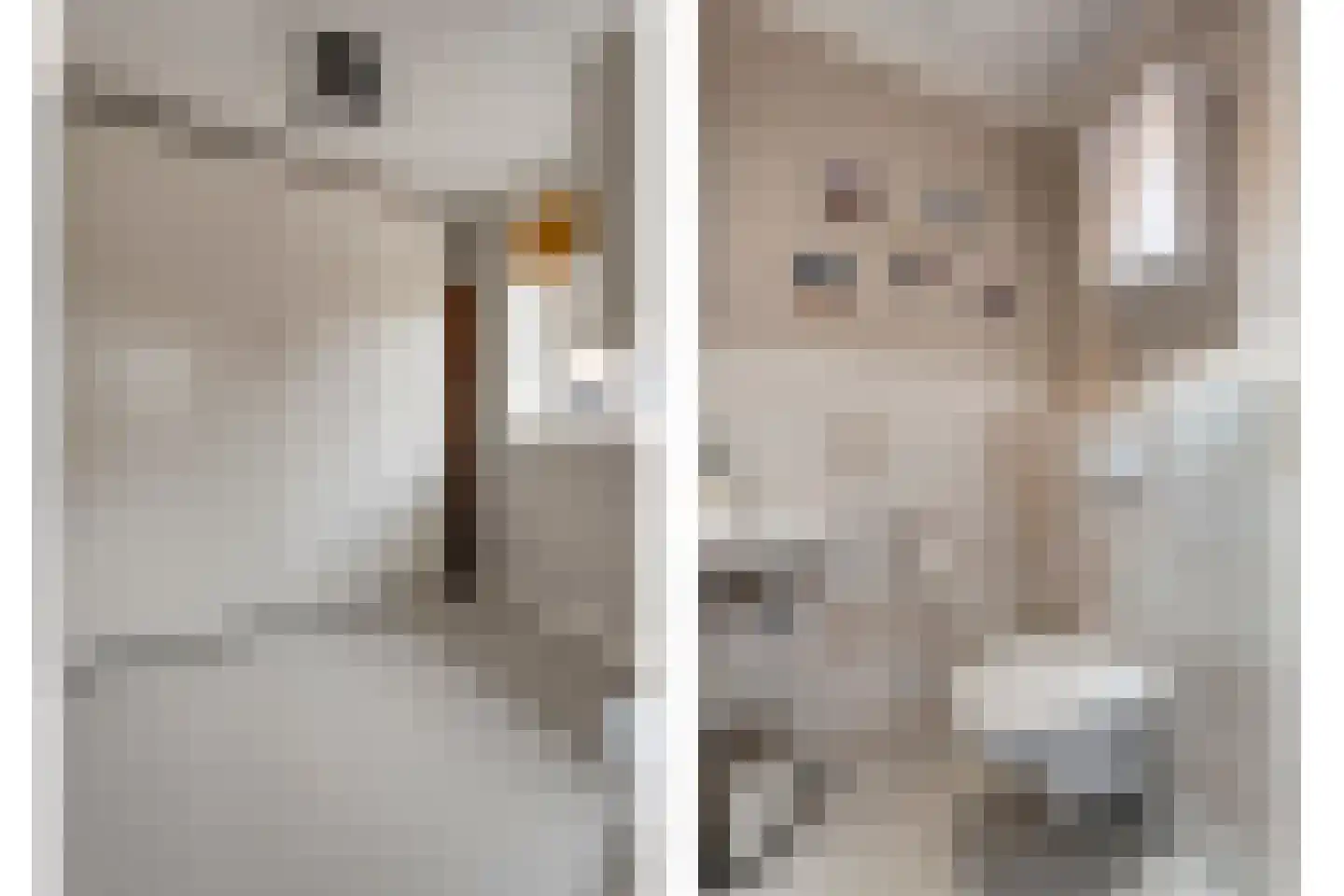 Herenstraat 114 Slagharen thumbnail 54