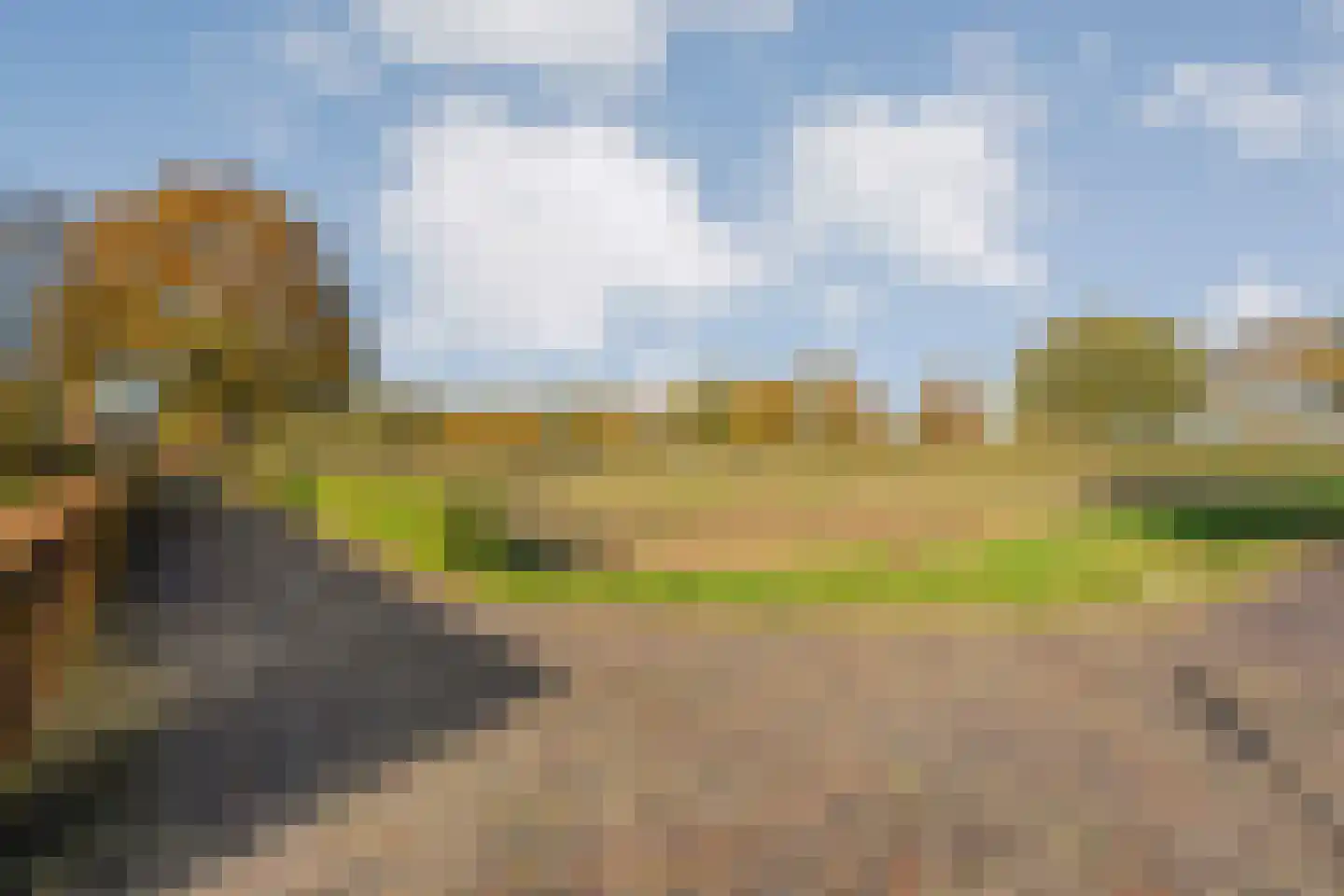 Herenstraat 114 Slagharen thumbnail 6