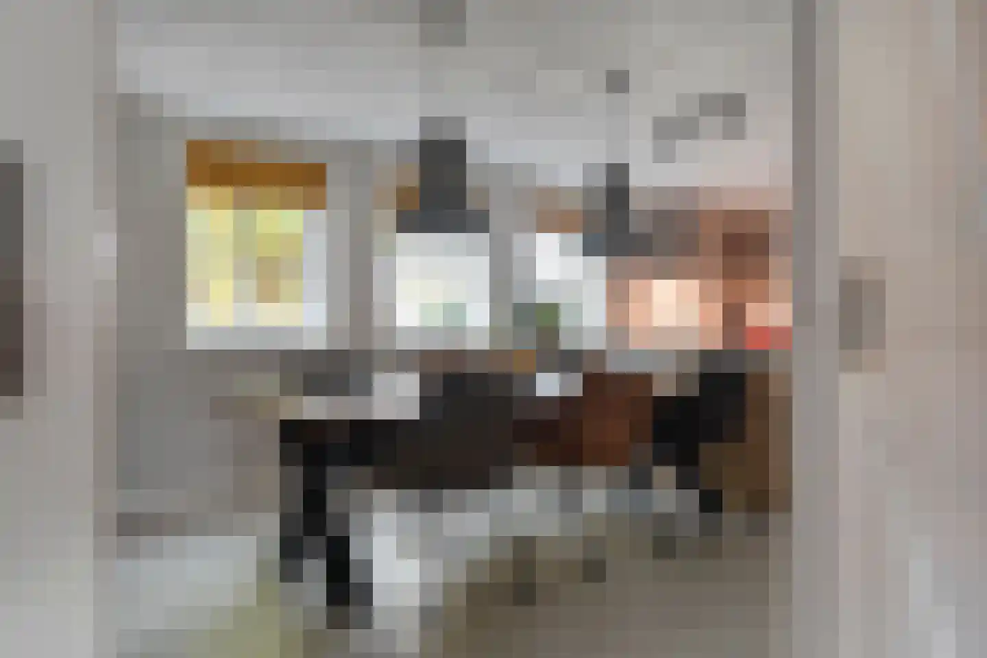 Herenstraat 114 Slagharen thumbnail 62