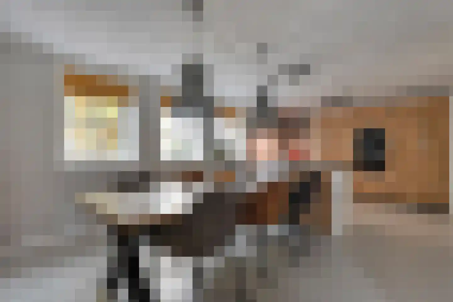 Herenstraat 114 Slagharen thumbnail 63