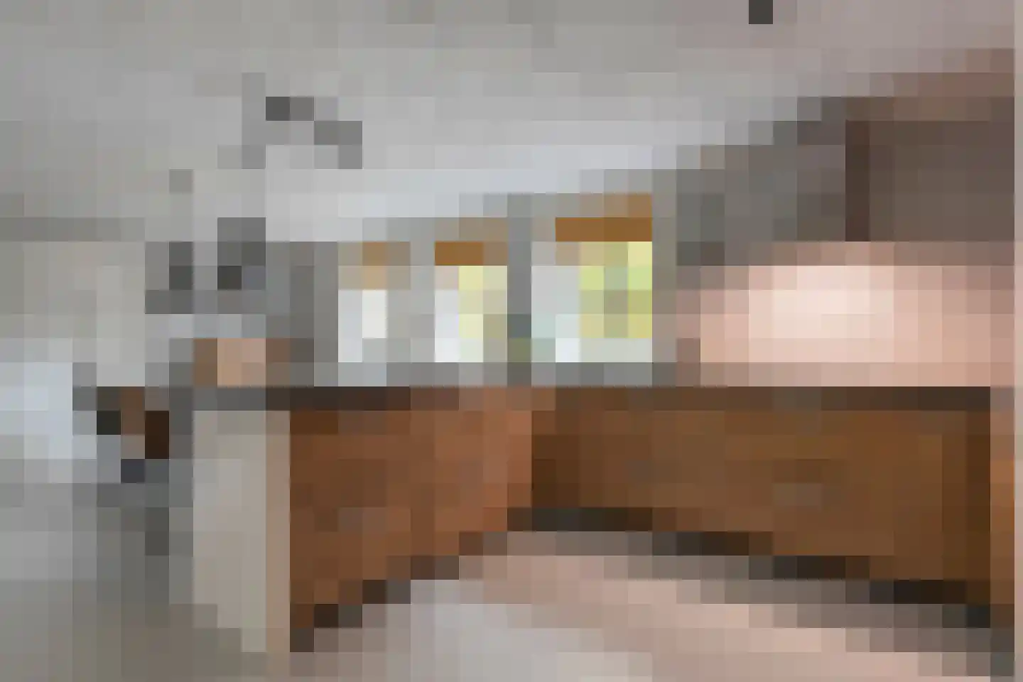 Herenstraat 114 Slagharen thumbnail 66